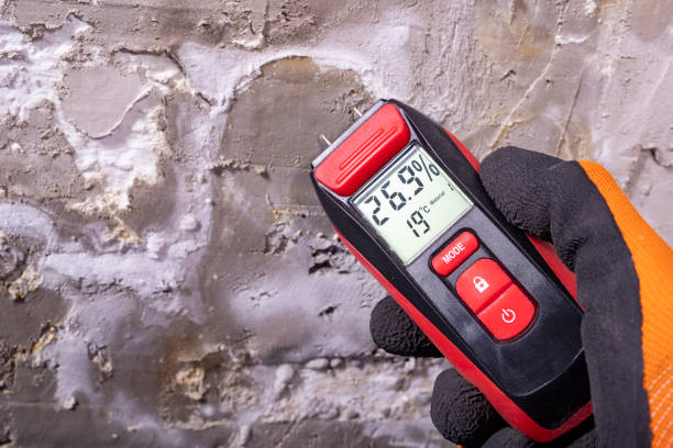 Best Emergency Mold Removal  in Sterling, KS
