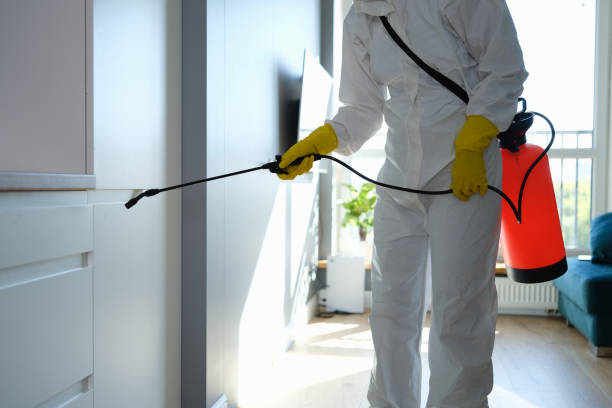 Best Mold Testing  in Sterling, KS