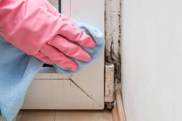 Best Mold Testing  in Sterling, KS